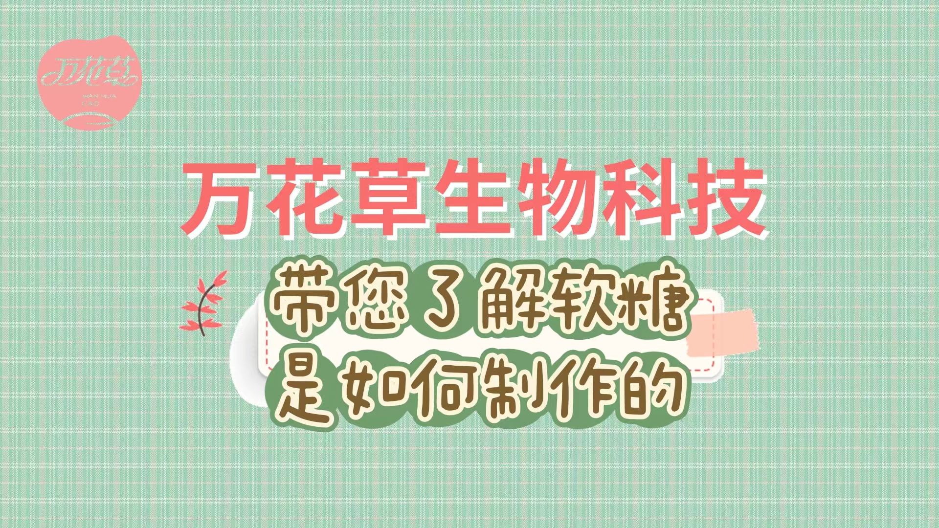 軟糖代加工生產(chǎn)工藝流程，帶您了解糖果是如何制作的
