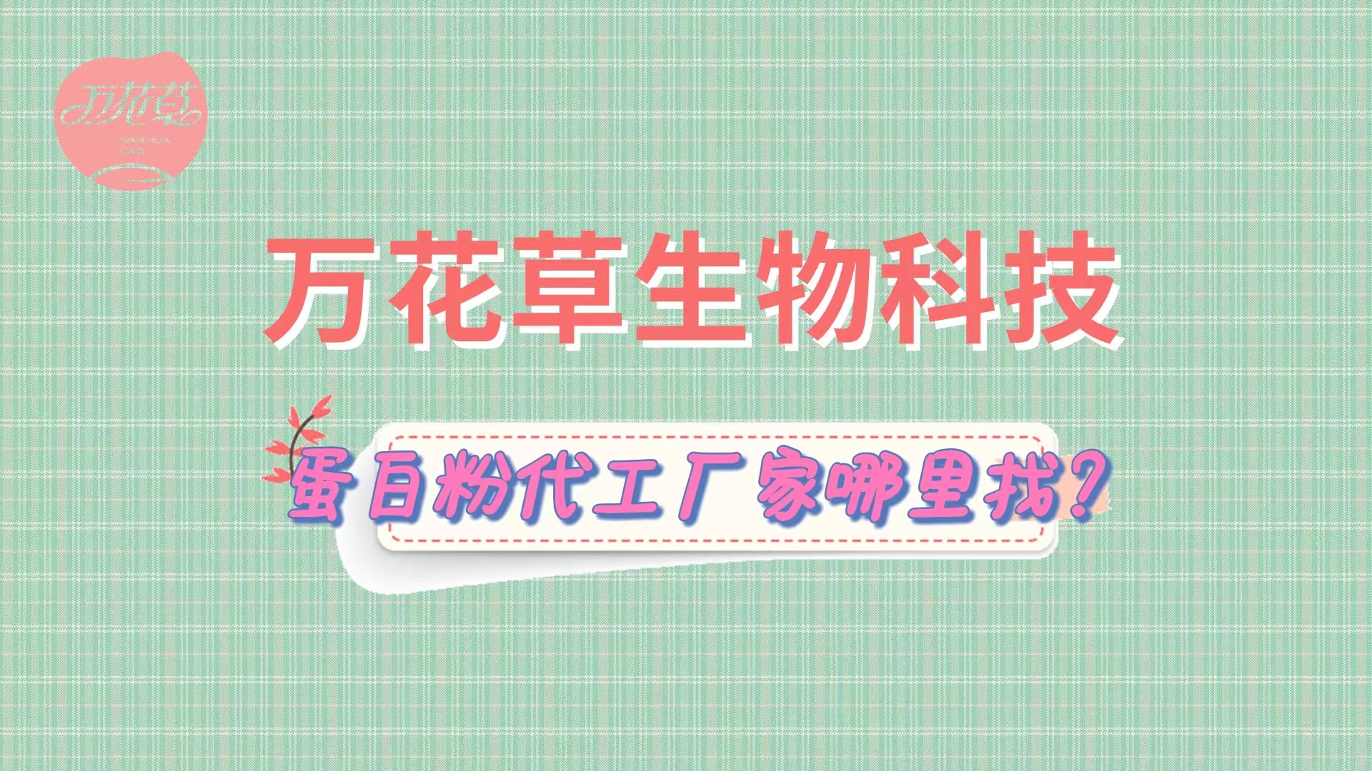 蛋白粉代加工，怎么找專業(yè)源頭廠家？