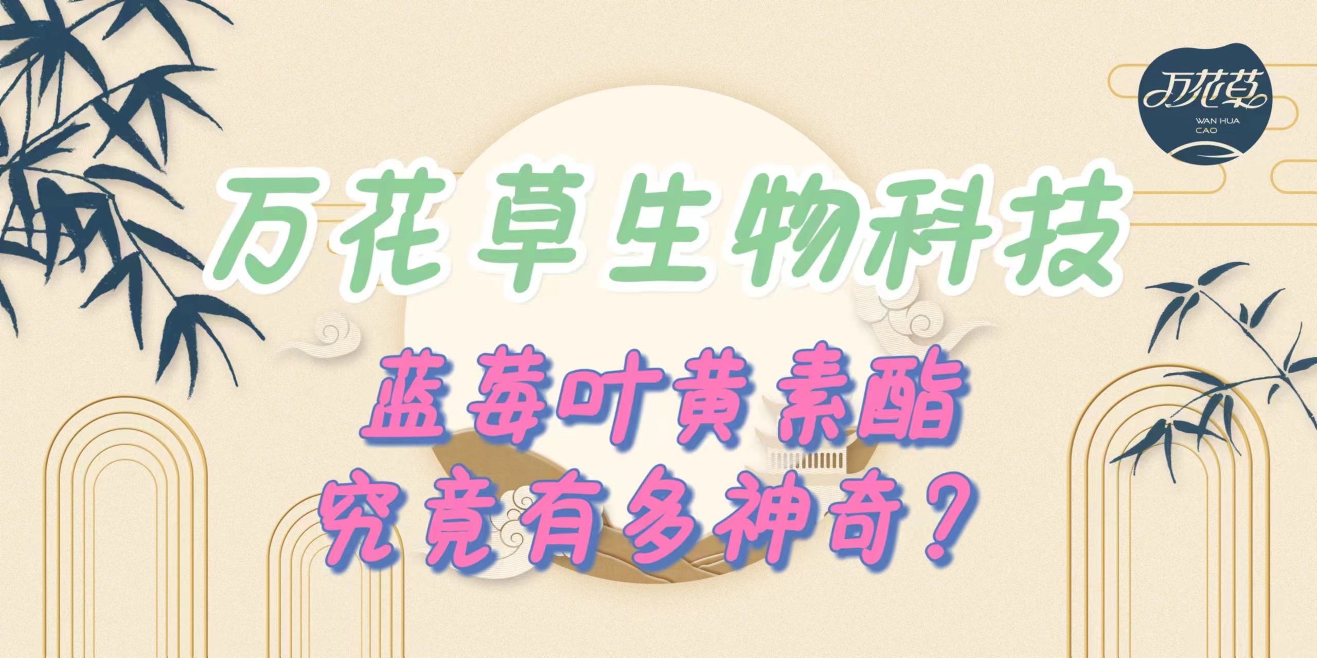 升級(jí)配方，重磅出擊，萬(wàn)花草藍(lán)莓葉黃素酯究竟有多神奇？