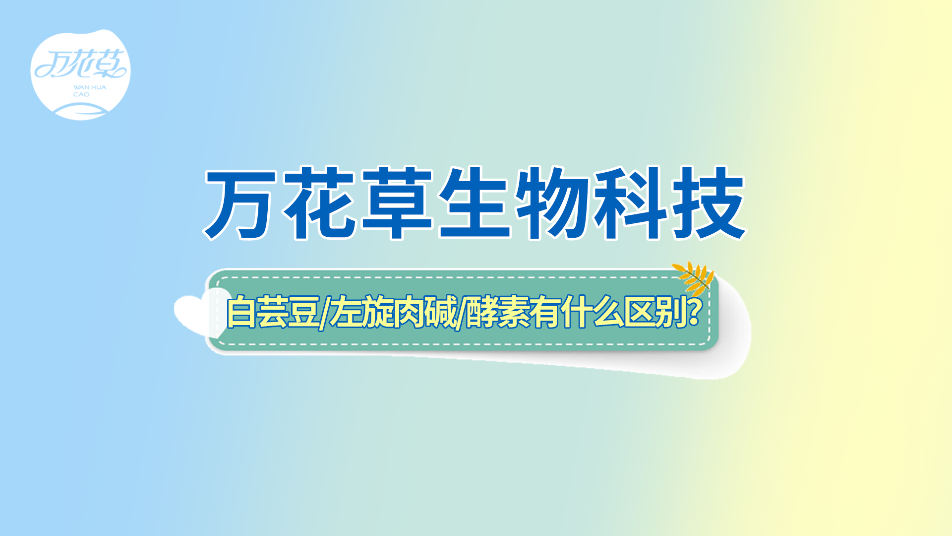 白蕓豆、左旋肉堿、嗨吃酵素有什么區(qū)別？